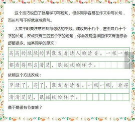 小学叙事文开头范文,记叙文开头的方法与技巧？