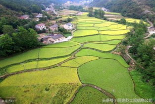 2019年农村土地新规 