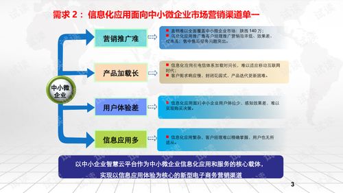 智慧企业电商化运营服务平台建设方案.ppt