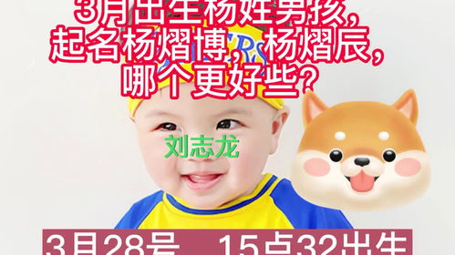 2023年3月出生杨姓男孩,起名杨熠博,杨熠辰,哪个更好些