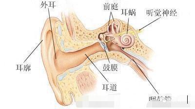 千万不要为了省钱,就随便让自己的朋友帮忙剪头发