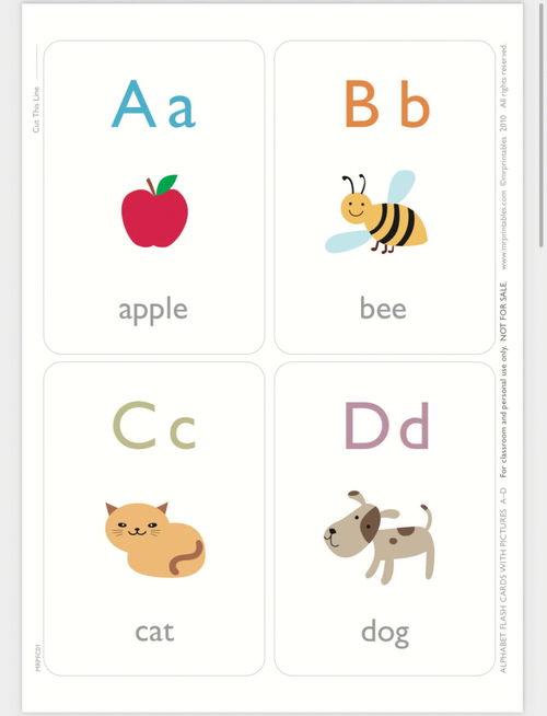 26个英文字母闪卡Alphabet Flash Cards 