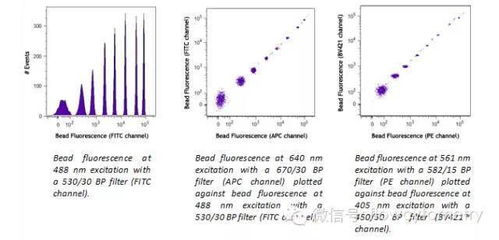 流式图FITC和PE怎么看，流式细胞仪图怎么看