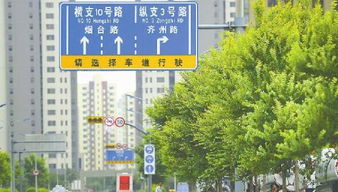 济南64条道路获命名 历下7条道路以 龙 开头 