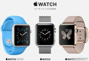 Apple Watch中国首发 最低2588元起买买买 