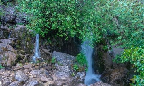 甘肃一地方鸟儿都住老鼠窝,还是 黄河50景 之一,渭水的源头地