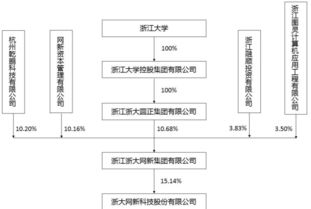 浙大网新 600797，这只股票怎么样？现在可以入手么