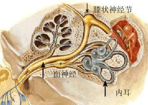 神经炎患者常用检验项目有哪些