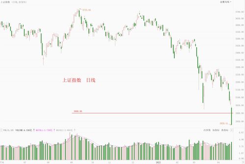 港股教育股盘中震荡走弱 东方甄选跌超10%