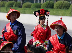 状元武士带红花是什么生肖