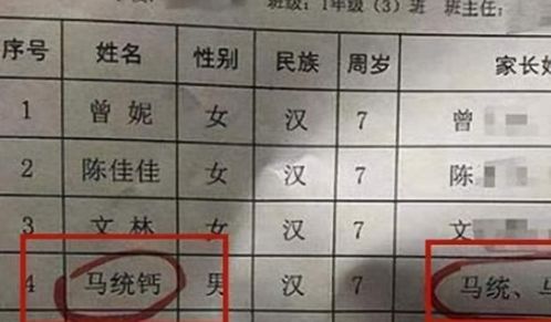 马 姓家长给娃起名字,成功避开了重名,却没避开谐音梗