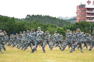 军训攻略 你们期待已久的军训干货 