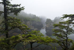 西塞山前白鹭飞，生态和谐绘美景，西塞山前什么飞桃花流水鳜鱼肥