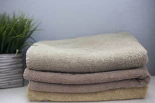 白鸭绒棉衤怎么洗？揭秘清洗技巧，让你轻松应对！