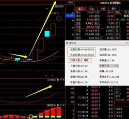 大家怎么看瑞贝卡这只股票