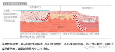 羊脂膏,你是怎么用的呢 