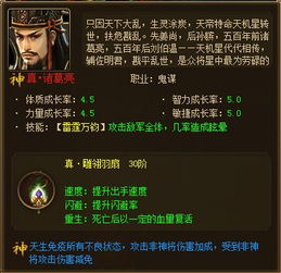 17673 斗将魂 神诸葛亮解析