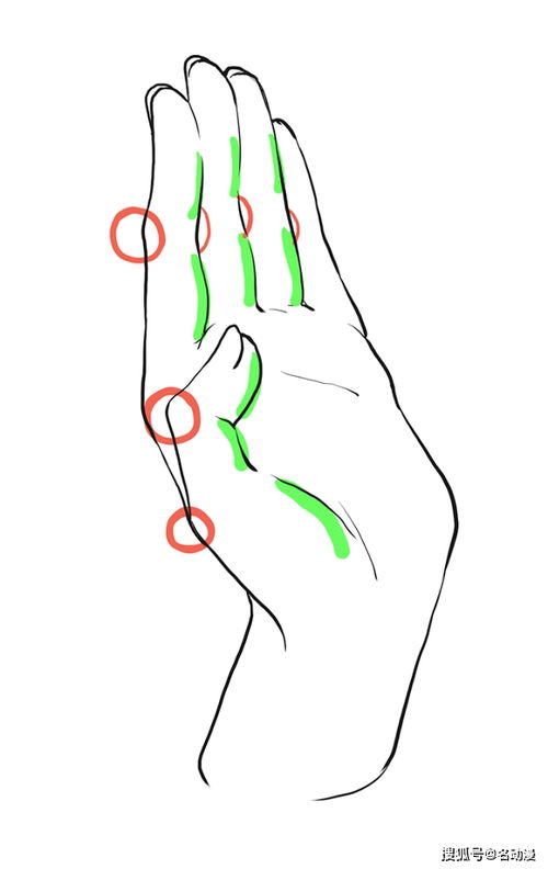 动漫手掌画法图片