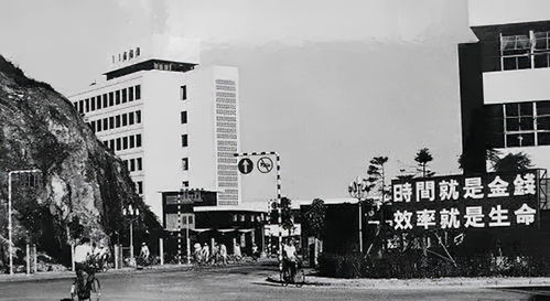 1981属鸡石榴木命忌讳什么