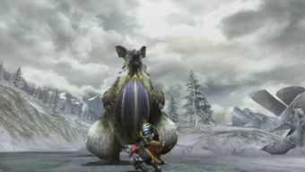 巨型雪地考拉兽 怪物猎人3 新怪物曝光