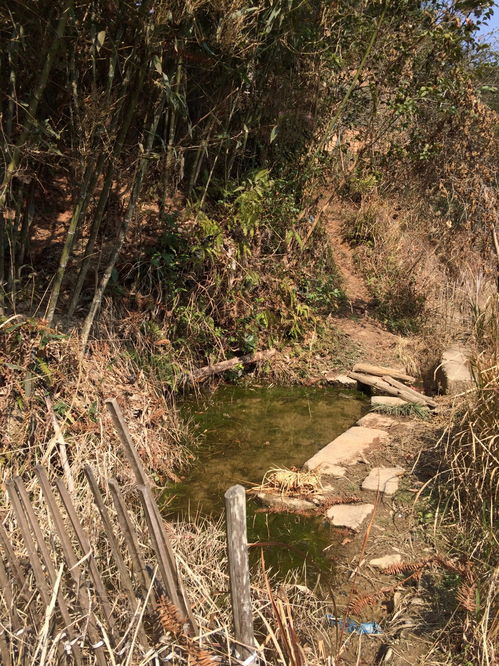 贫困山区的农村娃,当过搬运工 摆过地摊 成为作品价值百万的著名画家 