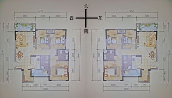 怎么才知道自己五行缺什么 