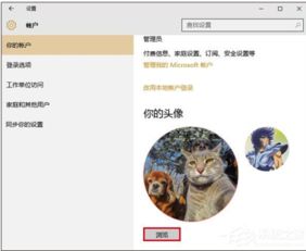 电脑win10头像如何换为默认头像