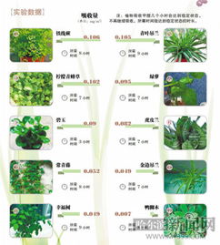 哈尔滨秋季来临 10种植物吸甲醛大赛铁线蕨夺冠