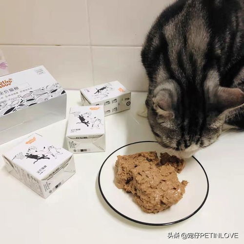 猫咪为什么要吃猫粮 吃肉不是更好吗
