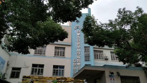 蜀山区前十名小学(合肥安居苑小学排名)