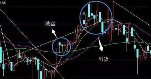 大单打压 是出货还是洗盘