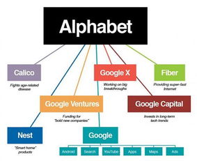 google公司的主营业务是什么?现在公司的运营方式大概是怎样的呢?知道的可以详细讲讲么?