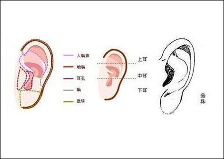 双耳抱腮图片