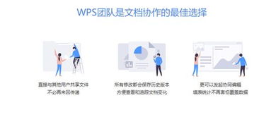 团队合作用WPS Mac版怎么样