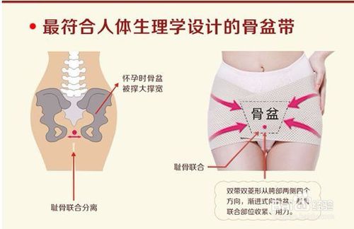 盆骨痛 搜狗图片搜索