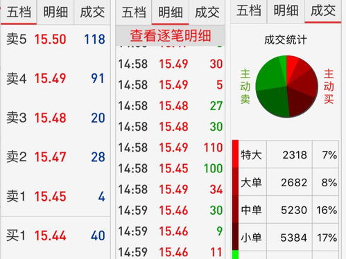 学习投股的基础知识