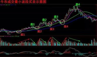 股票在什么时候需要波段操作？什么时候需要长期持有？现在的状况适合什么操作？