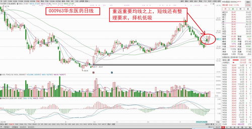 2025年9月份搬家的黄道吉日查询