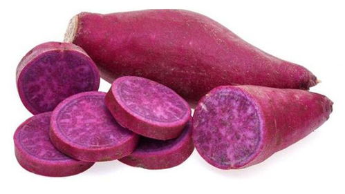有一种紫红色的青菜 紫红青菜图片