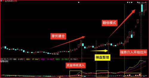 如何跟踪一直基金的动向