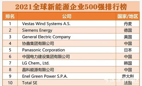 2007年中国企业500强中的前10强是哪些公司呢？