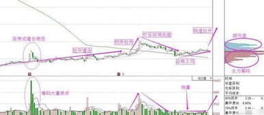 大盘走强拉高大阴线华新水泥是不是主力出货