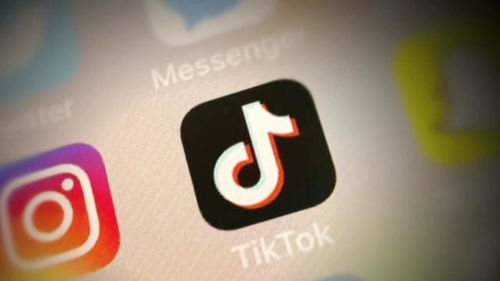 TikTok广告，TikTok广告展现形式_马来西亚tiktok本土店邀请码