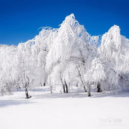 如何用PS制作雪景