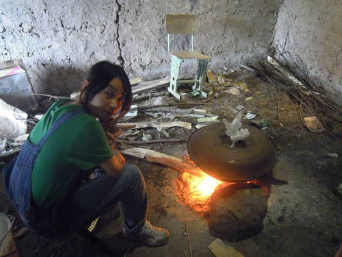 专家说农村烧火做饭污染了环境,柴火饭惹了谁 不食人间烟火