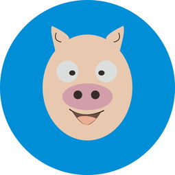 12生肖猪2019年运势（2019年猪的运势）