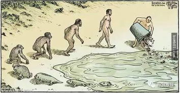 人类进化到现在,似乎走上了岔路 