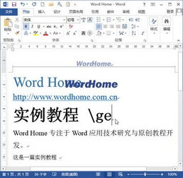 如果准备在Word2013文档窗口中输入符号 