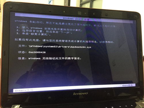 火萤动态桌面电脑版win10