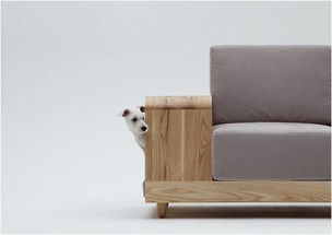 猫木头沙发